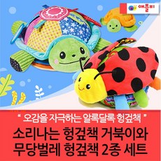애플비거북이