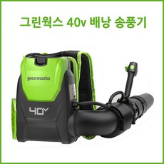 그린웍스 40v 백팩 충전 송풍기 제설 낙엽 송풍기 청소기 충전식 브로워 무선송풍기, 1개, 본품(배터리없음)