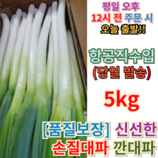 [항공직수입] 신선대파 손질대파 깐대파 5kg 10kg (+퀵배송 증정) 싱싱한 신선한 중국대파 파 수입파 중국산대파 수입대파 대파10키로 대파5키로 MD추천, 1개