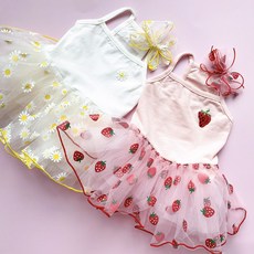 루이독미니드레스