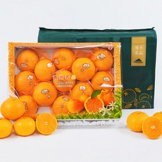 서귀포발송 프리미엄 천혜향 고급 선물세트, 1세트, 5kg(대과)