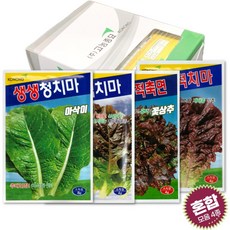 가을상추