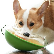 포우퀘스트 아보카도 흘림방지 노즈워크 강아지 간식 장난감, 1세트, 혼합 1세트, 혼합