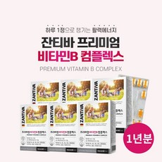 독일 직수입 완제품 활력 에너지 수용성 프리미엄 비타민비 컴플렉스 비타민 B1 B2 나이아신 판토텐산 B6 엽산 B12 비오틴, 0.7g, 6개