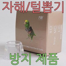 e5fc18d8c72d0bb278813e21713195671f72ede56afd4a3f99f84625add0.jpg