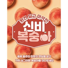 복숭아, 1박스, 2kg