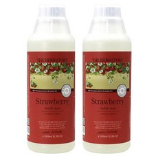 더허브스토리 버블바스 스트로베리 1000ml 2개, 더허브스토리 버블바스, 스트로베리, 1000ml, 2개, 1L