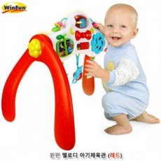 액티비티아기체육관