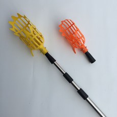 살구따기