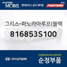 르노코리아선루프그리스