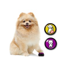 강아지말번역기