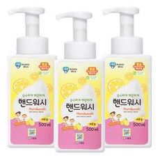 버블윅 레몬향 손세정제 핸드워시 용기 500ml x 3개, 0.5l