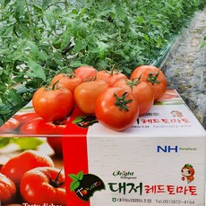 농장직송 정품 대저 짭짤이/완숙 토마토 2.5kg 5kg, 1박스, 05_완숙토마토 2.5kg M~L과