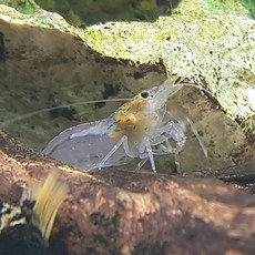e327194dc7030d837666f6884c5fc5c06a0d53c375d1451bf141462d89f3.jpg