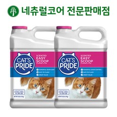 변기에버리는벤토나이트