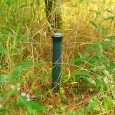 추천7 뱀퇴치기