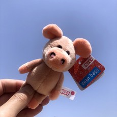 구체관절작은키