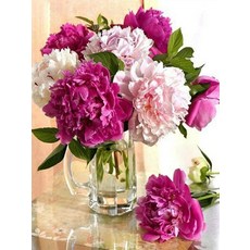 스파이더로즈스티치