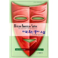 미국 흑인 풍자 소설:성스럽고 불경스런 소설, 정림사