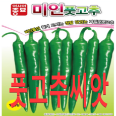미인풋고추모종
