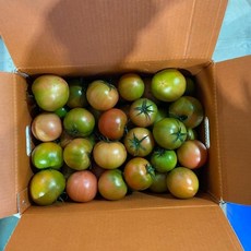 대저토마토 [못난이토마토]-랜덤과 5.0kg 산지직송, 1박스, 대저토마토 5.0kg 랜덤과