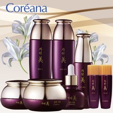 [딱 두개만] 코리아나 한방 가연미 진연 6종+여행용2종 세트, 단일상품