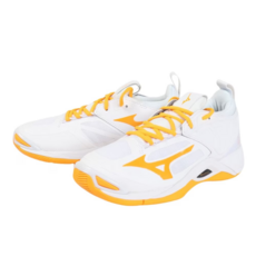 v1ga211254 TOP01