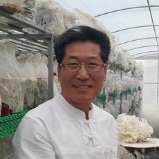 바나나효소만드는법