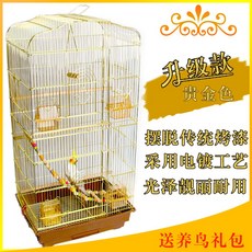 프리미엄사육장