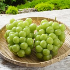 샤인머스켓 2KG(2수) 집들이, 1개