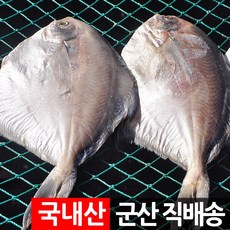 제사 제수용 반건조생선 세트 조기 장대 박대 병어 도미, 제수용 병어 1미 400g 내외, 1개