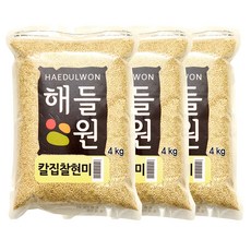 칼집현미