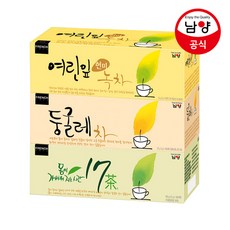17차티백