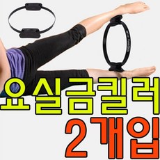 o0l0o군살 제거 도움이 되고 요실금 예방 운동기구 X 2개입II0lI, KW 필라테스써클