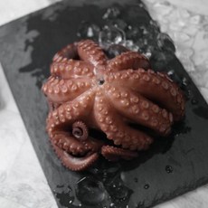 산지직송 자연산 통영 돌문어, 1박스, 1kg (1~4미)