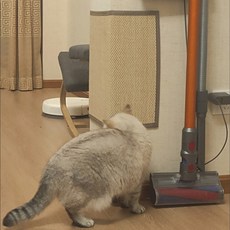 고양이 벽 문 매트 스티커 보호 소파 잡이 방지 잡이판, 접착스티커가있는가죽소파벽스타일30x40