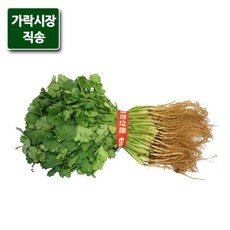 고수1단