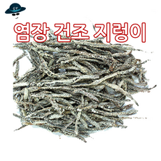 [고선수피싱] 염장지렁이 갯지렁이 청개비 원투낚시 지렁이 염장갯지렁이