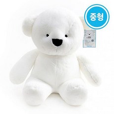 디자인그룹 티에스 누리베어 중형 75cm 러블리 토이 큰인형 곰돌이 봉제인형