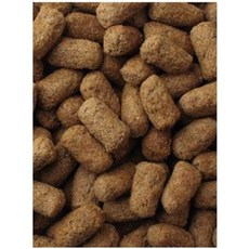 육지거북 마주리 사료 350g (거북이 마약 사료로 유명한 베스트셀러)