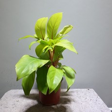37e3d8100070fa86a1a99fd67cb43e198cf78ff65842f446fc4686ee198f.jpg