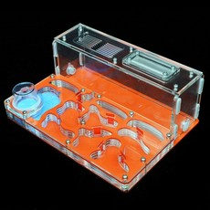 배추흰나비키우기