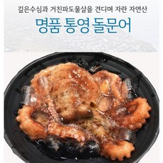 남해문어
