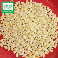 유기농인증 태백산자락 영월잣영농조합 백잣 황잣 500g, 1개, 백잣 500g