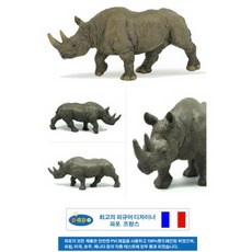 청상아리