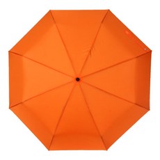 17e0e8eaa5c7a04e513a8d41f4c1695df103412c12ff6e9b87ec37a887a1.jpg