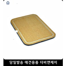 고양이초보집사되기