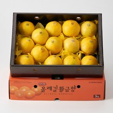 린디 제주 만감 고당도 프리미엄 황금향 선물세트 12brix 이상 3kg, 1박스, 린디 제주 고당도 황금향 3kg(9~15입)