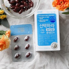유어초이스