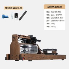 바디엑스로잉머신r2